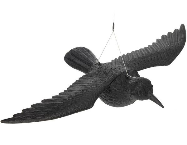 Plašič Vrána závěsná 40x57,5cm